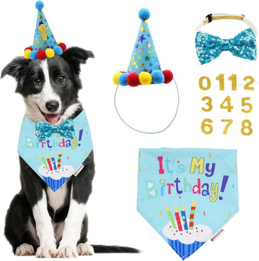  Set de Cumpleaños para Perros